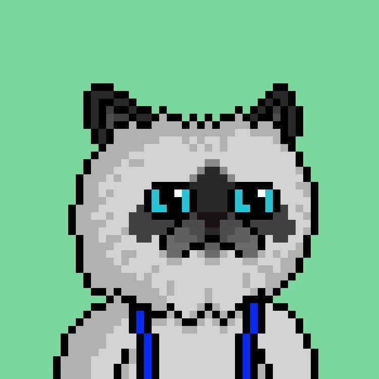 __2_lee's profile picture. 