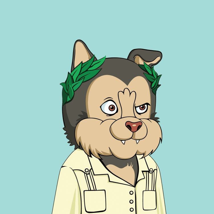 cleo_6_pro's profile picture. Content creator, developer in solidity & python, reply guy. Road to 10k ✨