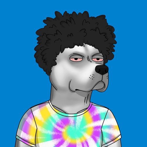 _salpwnd's profile picture. 
