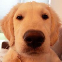 diundulis (@diundulis7) 's Twitter Profile Photo diundulis (@diundulis7) 's Twitter Profile Photo
