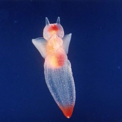 wake_8p's profile picture. You're my 躁 躁 いつもすぐそばにある  ゆずれないよ  誰も邪魔できない