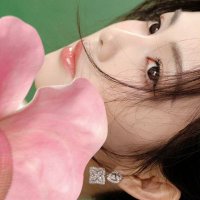 白鹿 (@wbailu) 's Twitter Profile
