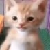 Saluhi Asiri (@saluhia4648) Twitter profile photo Saluhi Asiri (@saluhia4648) Twitter profile photo