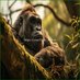 Joseramon Gonzalo Gimenez (@joseram99765207) Twitter profile photo Joseramon Gonzalo Gimenez (@joseram99765207) Twitter profile photo