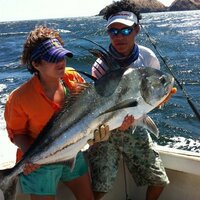 Donna Marie (@dmj_iah) 's Twitter Profile