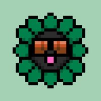 Nash Phan (@__nashphanpwn) 's Twitter Profile