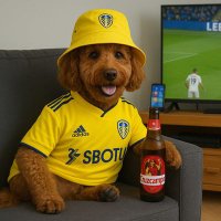 Lisa Bourne (@lisa_bourne) 's Twitter Profile Photo