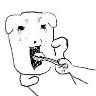 8MQQ21HI2's profile picture. 무거운것은아래로/성인! 성인만