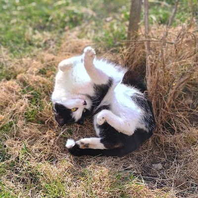 JaroslavK22211's profile picture. 