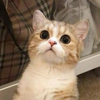 letsgrooww's profile picture. Hi!