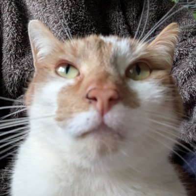 James6645030753's profile picture. Just a lad who likes trains.