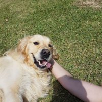 ROsy (@raimundomundaor) 's Twitter Profile
