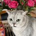 Olga Bikhleyzer (@bikhleyzer90403) Twitter profile photo Olga Bikhleyzer (@bikhleyzer90403) Twitter profile photo