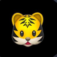 nsn (@35353i_) Twitter profile photo