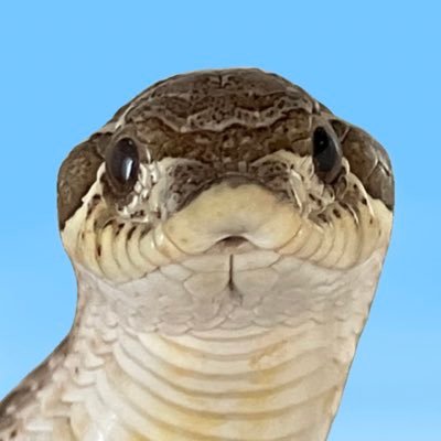 ぐるぐるさんのプロフィール画像