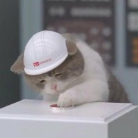 ᴊɪɴᴜ (@_ji_nu_) 's Twitter Profile
