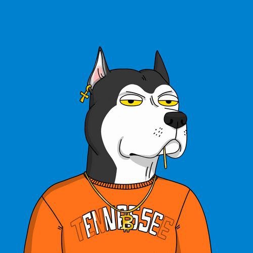 3cello_qntwp's profile picture. Home Chef Extraordinaire ™️ Spearheading ethical crypto investment ◽️ Raised $5M for a charity supporting underprivileged youth  
Space exploration geek