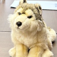 John Ramses (@johnramses0413) 's Twitter Profile Photo