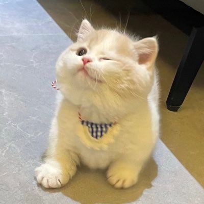 ę§ðð ð ðđð ððâ â âĒūââââ*°âĒ.ËâS âǰ*âË.âǰ*âË per acc