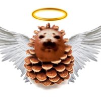 Pinecone Angel 😇 MLGWeed1BruhPro.com (@thistlefangirl7) 's Twitter Profile Photo Pinecone Angel 😇 MLGWeed1BruhPro.com (@thistlefangirl7) 's Twitter Profile Photo