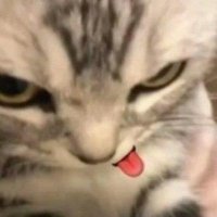 D (@uallthings) 's Twitter Profile