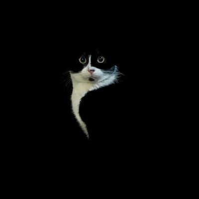 nopra_99's profile picture. @Lix_xie_00 new acc.