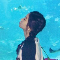 peony🩰 (@peonypenguins) 's Twitter Profile