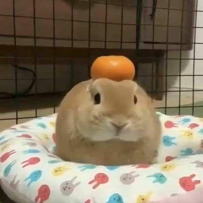 aimaddict's profile picture. ig @bradenccolaire