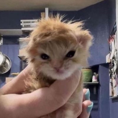 _grap3soda's profile picture. 