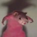 Señor_Succ4 (@jackaroo4444) Twitter profile photo Señor_Succ4 (@jackaroo4444) Twitter profile photo