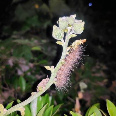 Kaweechai39096's profile picture. นัดสนุกไม่ผูกมัด พบปะพูดคุย จบกิจแยกย้าย ไม่ยุ่งเรื่องส่วนตัว FWB,ONS เขตเมืองราชบุรี
หาสาวแท้ค้าบเน้นย้ำสาวแท้เท่านั้น