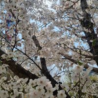 🌝S.Jolly ✨️🌈💚🫶🏻💖 (@jumjajoy) 's Twitter Profile Photo 🌝S.Jolly ✨️🌈💚🫶🏻💖 (@jumjajoy) 's Twitter Profile Photo