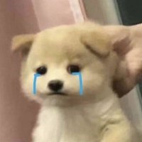หูเกือบแตกกก‼️‼️ (@axmmh) 's Twitter Profile