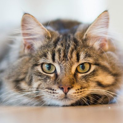 TranHoang678900's profile picture. 🔶cryptocurrency🔶