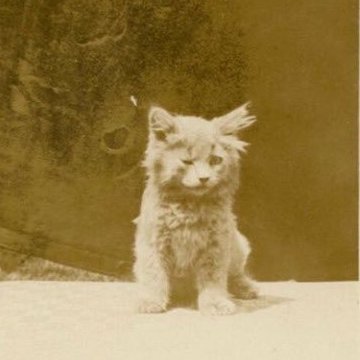 kosfro's profile picture. 
