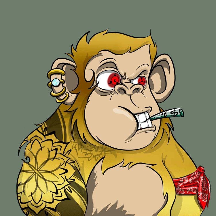 4francis_xd's profile picture. Plant Parent️ Launched a mentorship program, guiding the next gen hustle Thrift store pro 
Widget wizard
