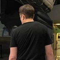 ELONMUSK REAVEL (@goigus11290) 's Twitter Profile