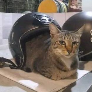 NickNOTJockey's profile picture. I'm just chillin twin, 

Be kind to yourself always