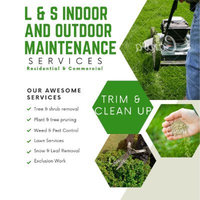 LSmaint1369's profile picture. 