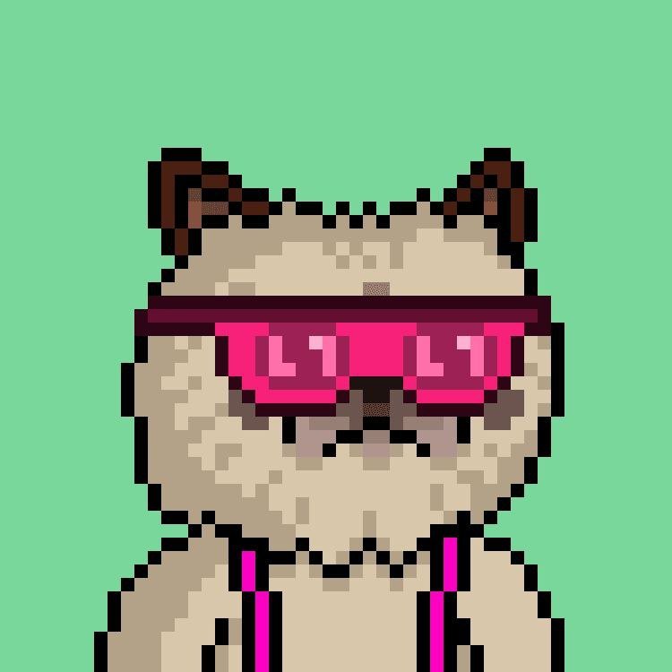 maya_22WP's profile picture. Crypto Venture Catalyst. Riddle enthusiast