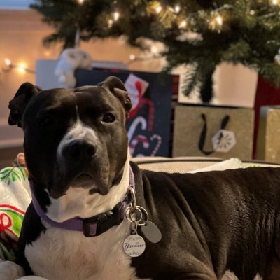 JLaRae150780's profile picture. Upstate Gal