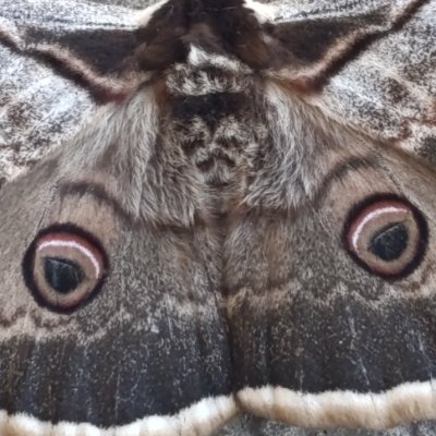 Nature and animals.
Follow my you tube channel
https://t.co/eOtIVBhgFj