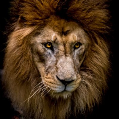 Nauti_R's profile picture. 