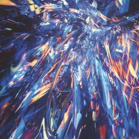 lago (@lagothello) 's Twitter Profile