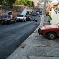 Gary OnE (@garyone476809) 's Twitter Profile