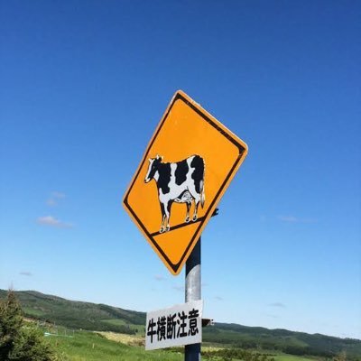 kk_nrabgm_hk's profile picture. 高校･大学野球と応援好き。習志野と我孫子を一生応援します。明治と東大の応援席にハマり始めた前橋育英と札幌国際情報と札幌日大のにわかファン。野球応援が素敵な旭川･室蘭･十勝支部は「支部推し」 。北海道とセイコーマートマニア。新幹線通勤。たま〜に🐴。巨人とロッテちゃん。 #今日の富士山チャレンジ🗻