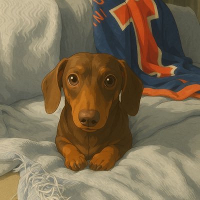 catso_grande's profile picture. thanks