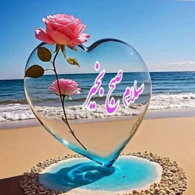 amirhoseinab780's profile picture. 