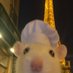 yayah the remy ratatouille (@fayayahh) Twitter profile photo yayah the remy ratatouille (@fayayahh) Twitter profile photo