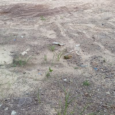 un autre Congo ou règne la justice l'égalité et le travail.